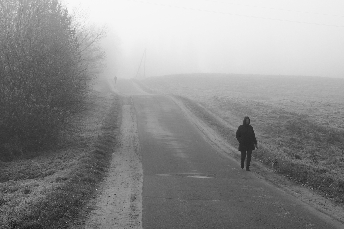 Ранкова прогулянка  2