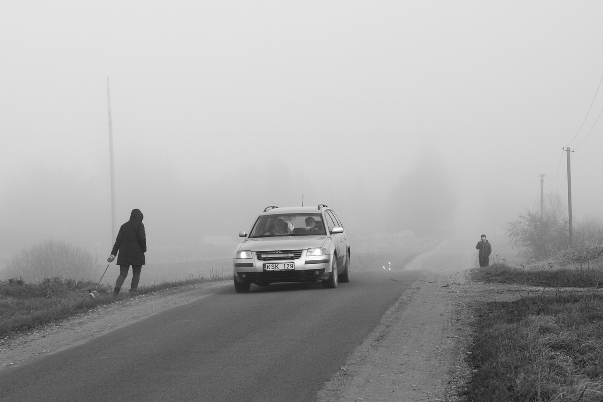 Ранкова прогулянка  3