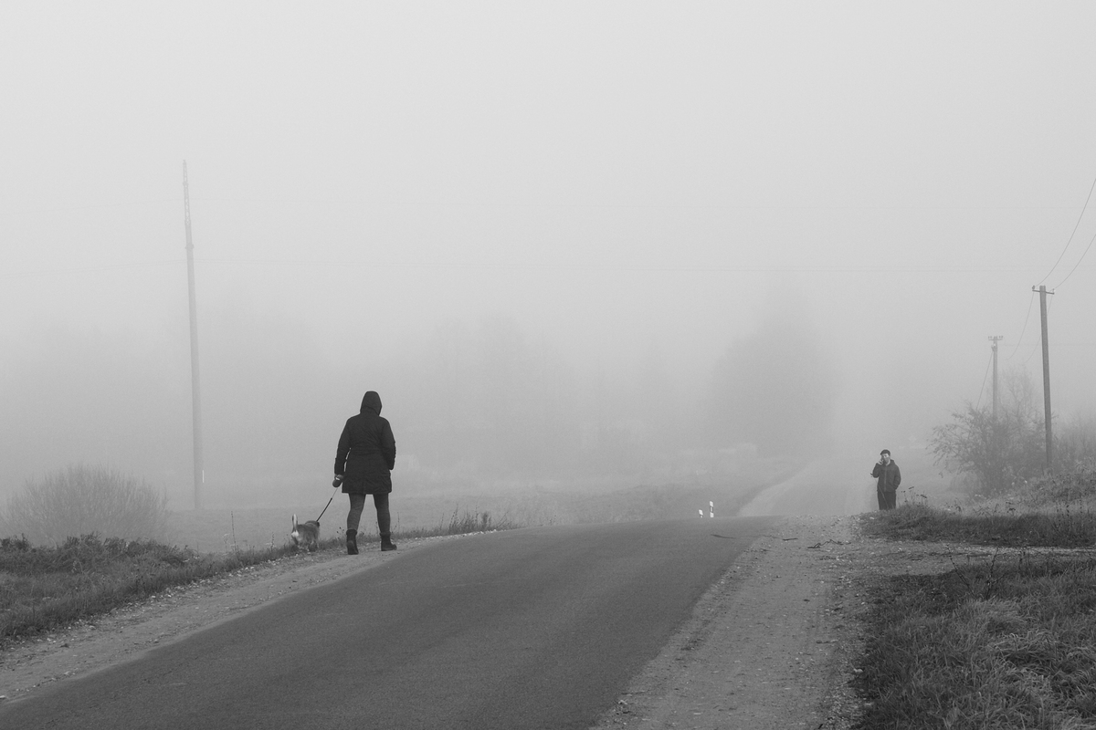 Ранкова прогулянка  4