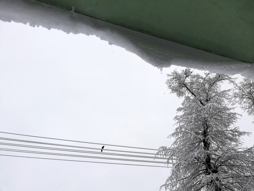 Зимові лінії