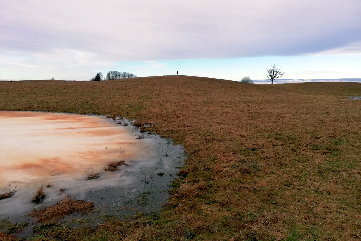 Чуття весни