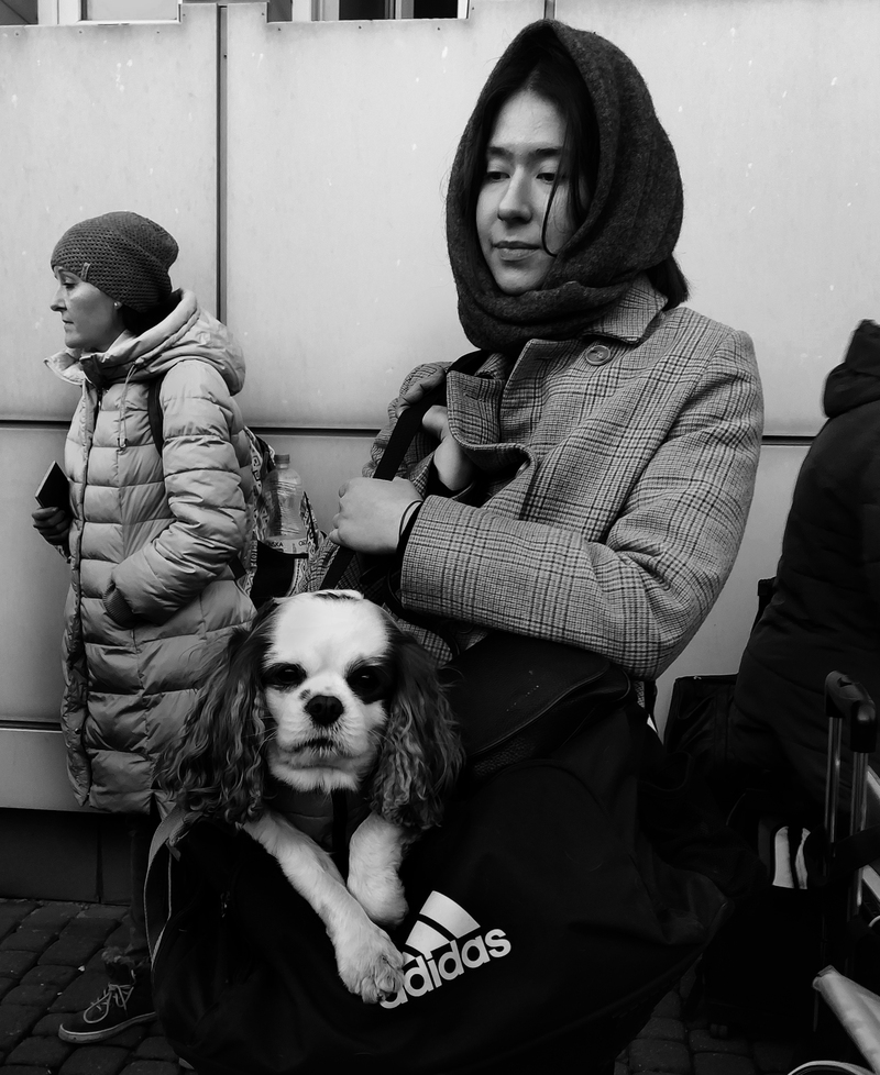 Третій день війни..-4