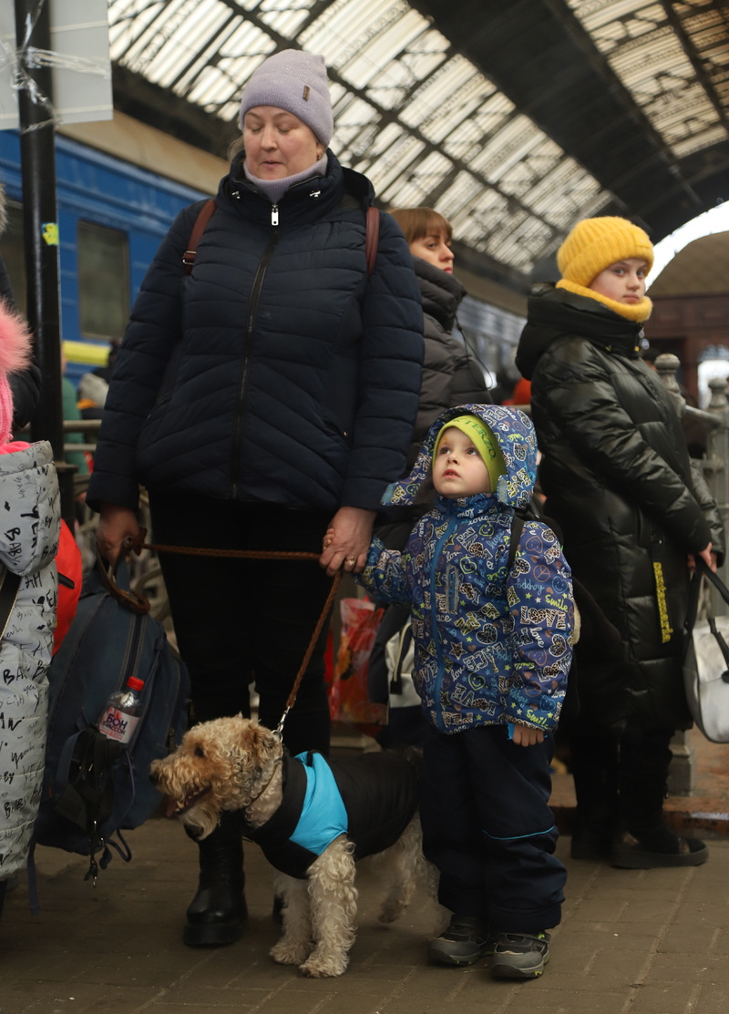Втікаючи від війни 