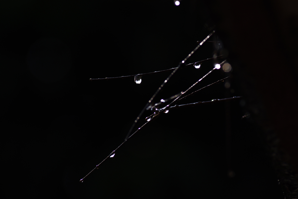 Droplets