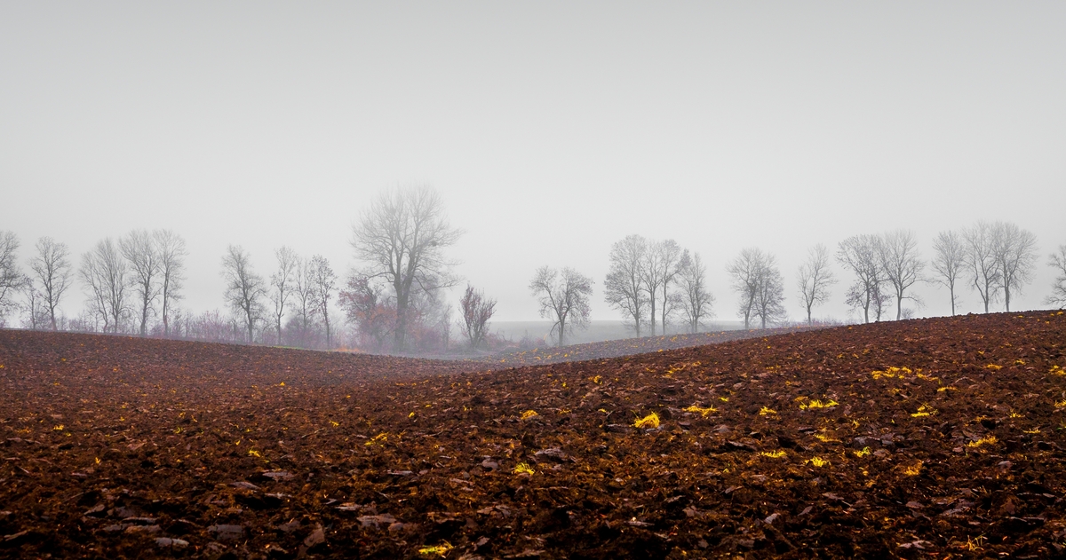 Осінній мотив