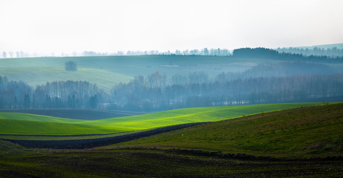 Подільський краєвид 1