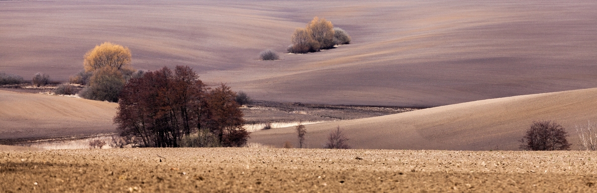 Подільський краєвид 2