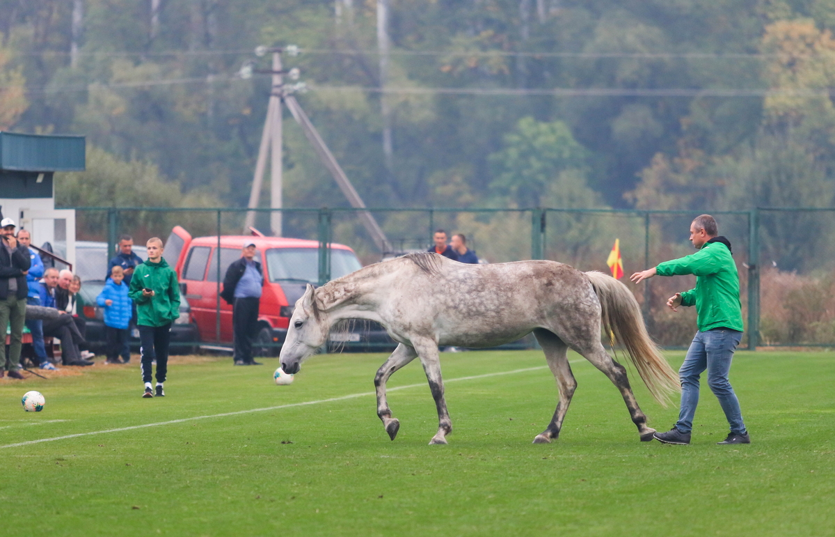 Кінь вибіг на поле під час футбольного матчу кваліфікації на Дефлімпійські ігри Україна – Італія (18.9.2021)