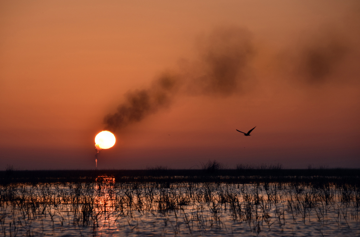 environmental destruction