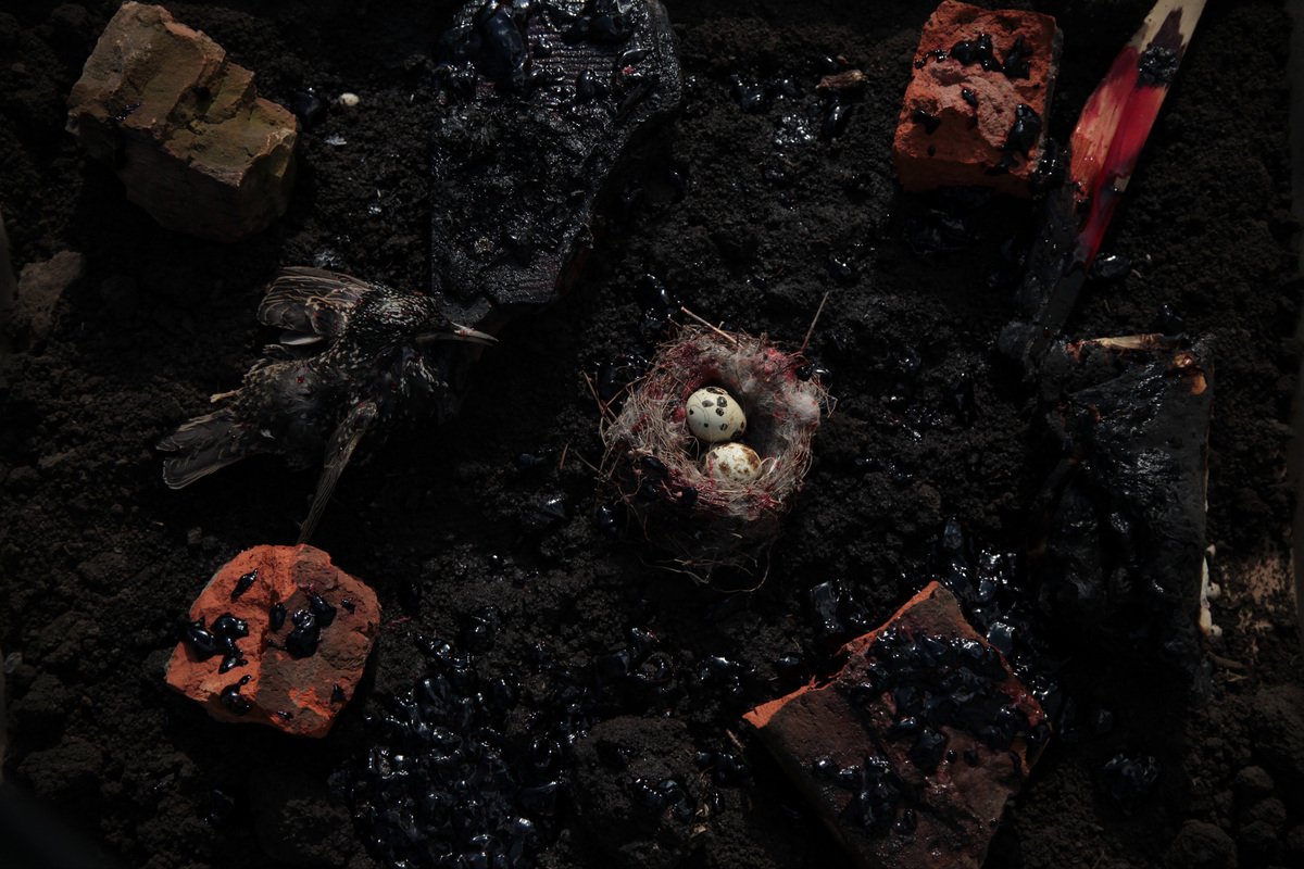 Колір весни-2022-8