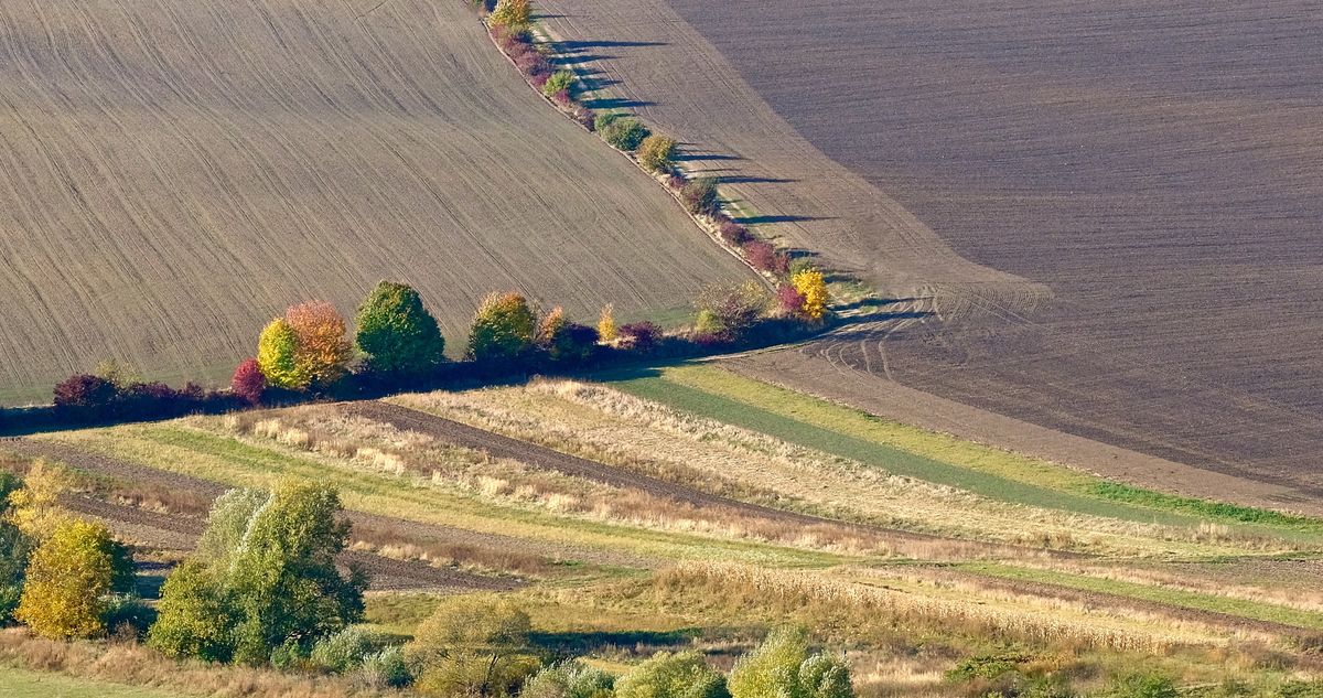 Геометрія поля
