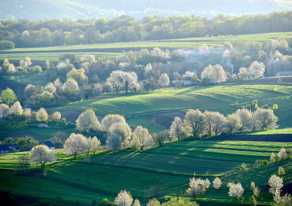 Весна в Опіллі