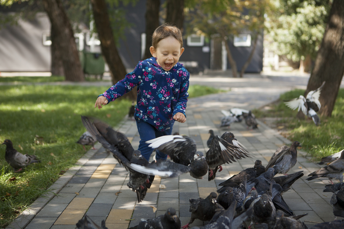 Girl and doves 2