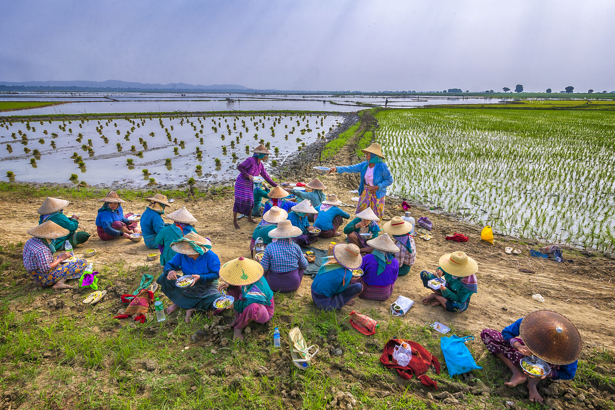 Lunch of farmers