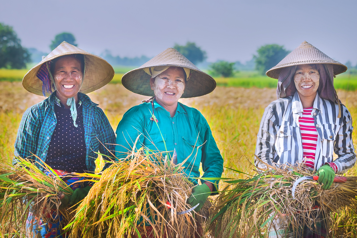 Smile of farmers after harvest