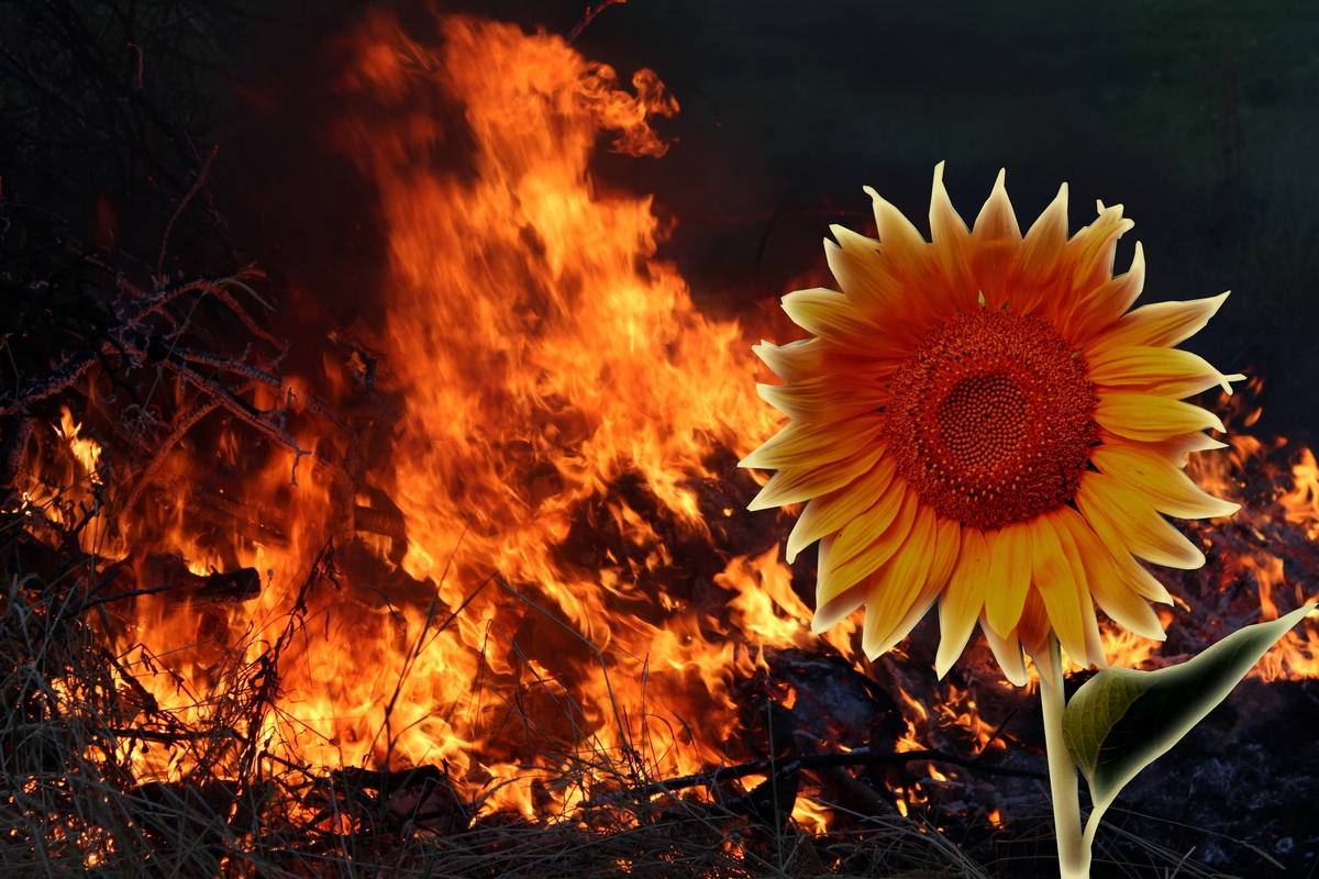 Нас не подолати!