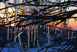 Коротка відлига