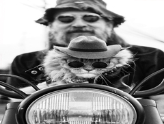 Аліса і Базиліо