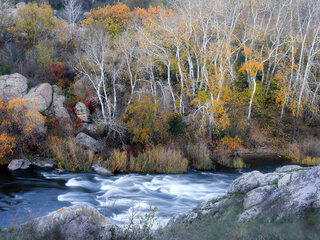 Бузькі барви
