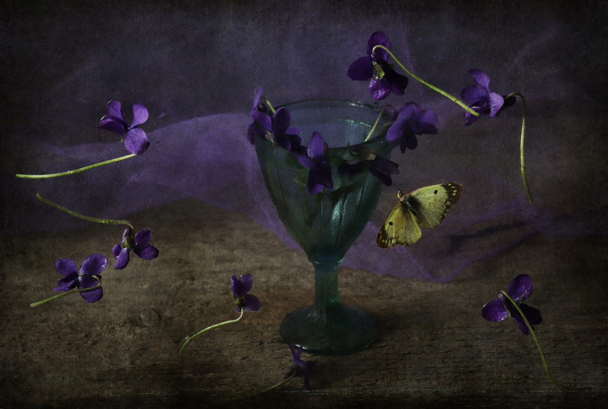 Фіалковий танець