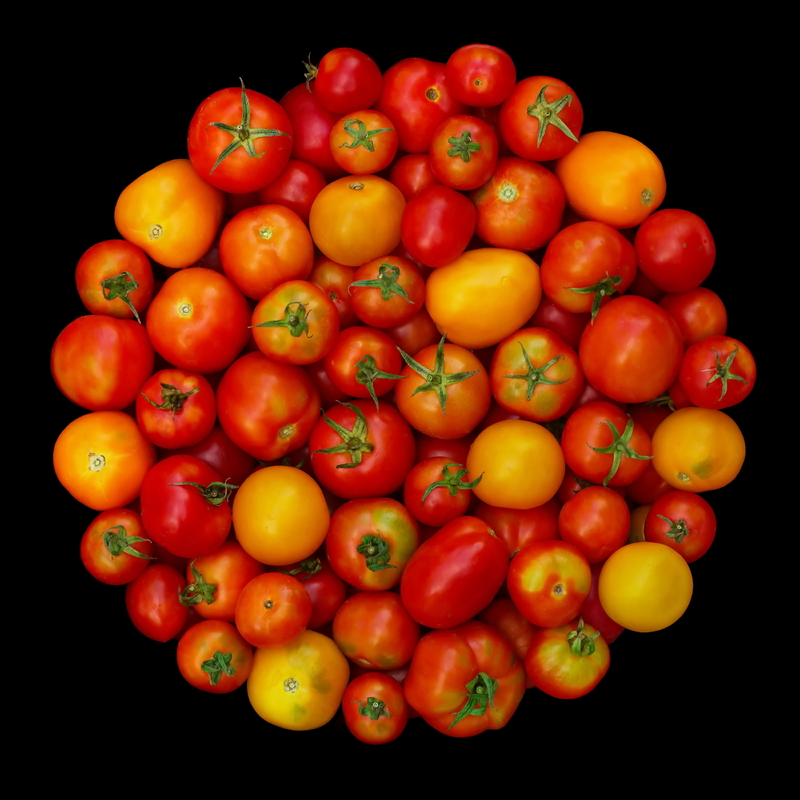 Панно. Помідори