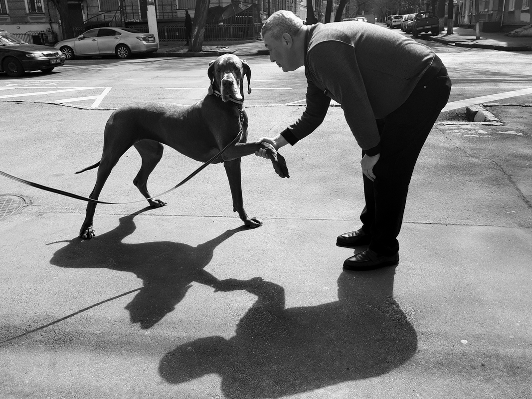 Привітання