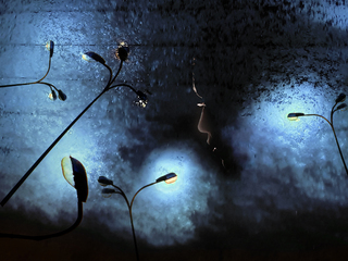 І знову буде світло