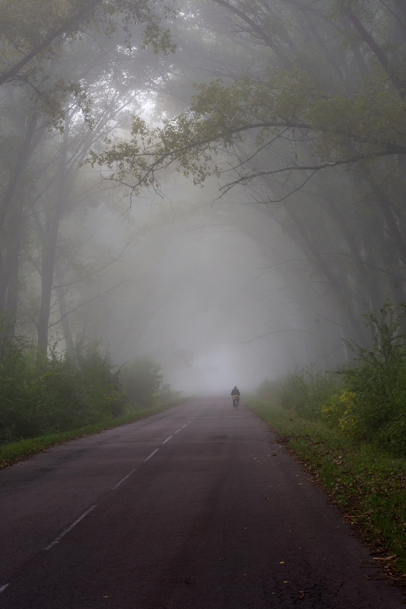 Шлях до світла