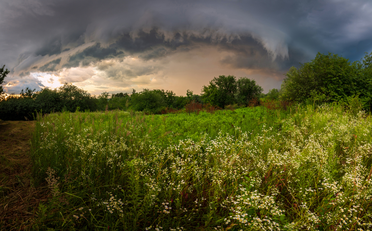Грозовий фронт