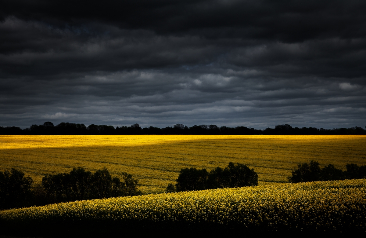 2. Шматочок сонця у похмурий день