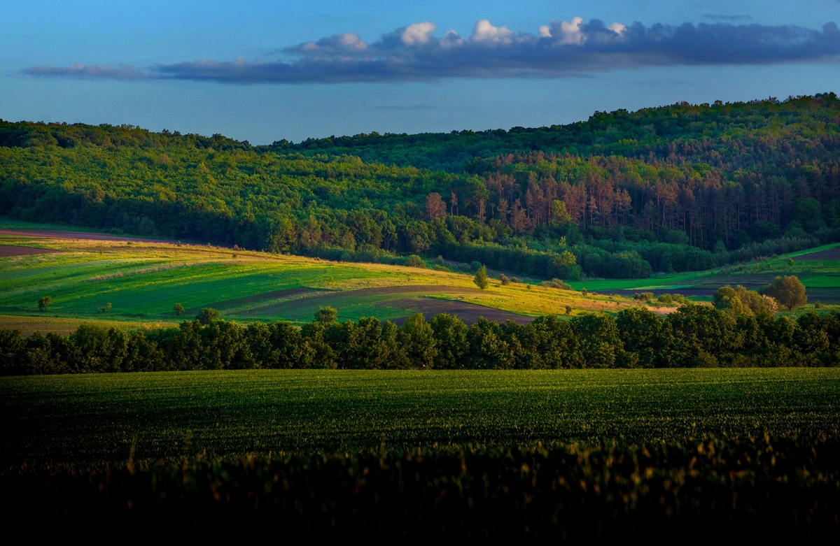 4. Яскравий червень