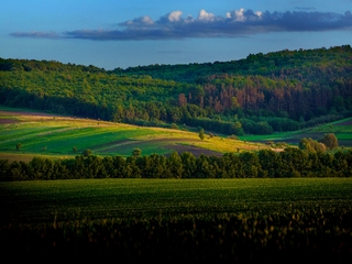 4. Яскравий червень