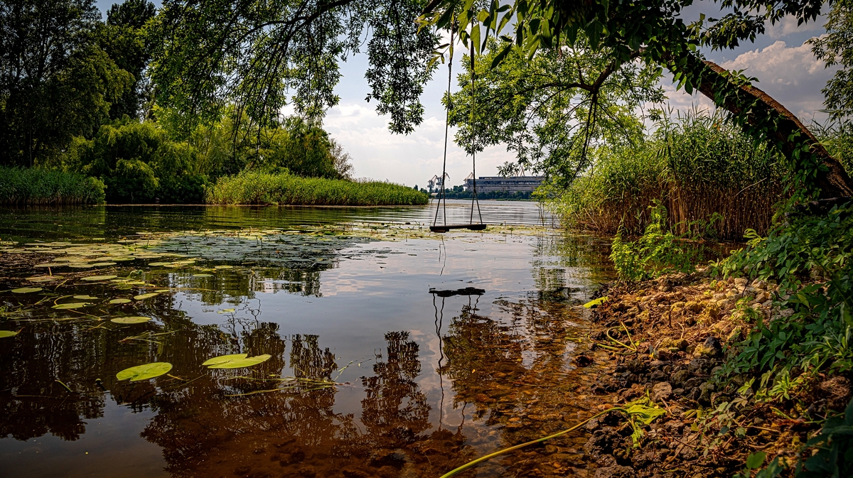 Херсонські плавні