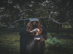 З циклу Відгомони війни