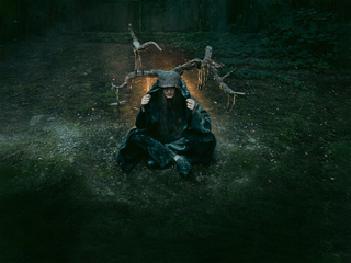 з циклу Відгомони війни