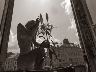 Час лілій і гострих кутів