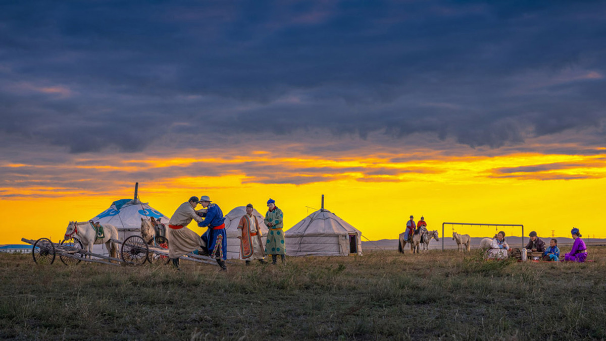 Morning dream on the prairie
