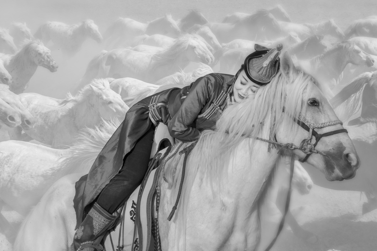 Nap on the horseback