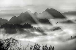 The elfin over misty valley