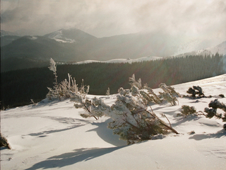 White snow plays with silver