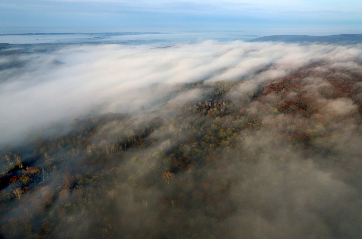The spring mists float away