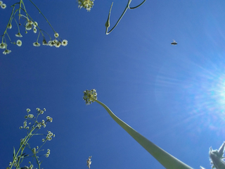 Погляд вгору