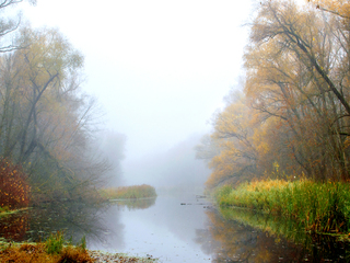 Осінній мотив