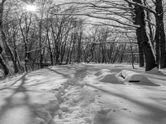 Зимовий день