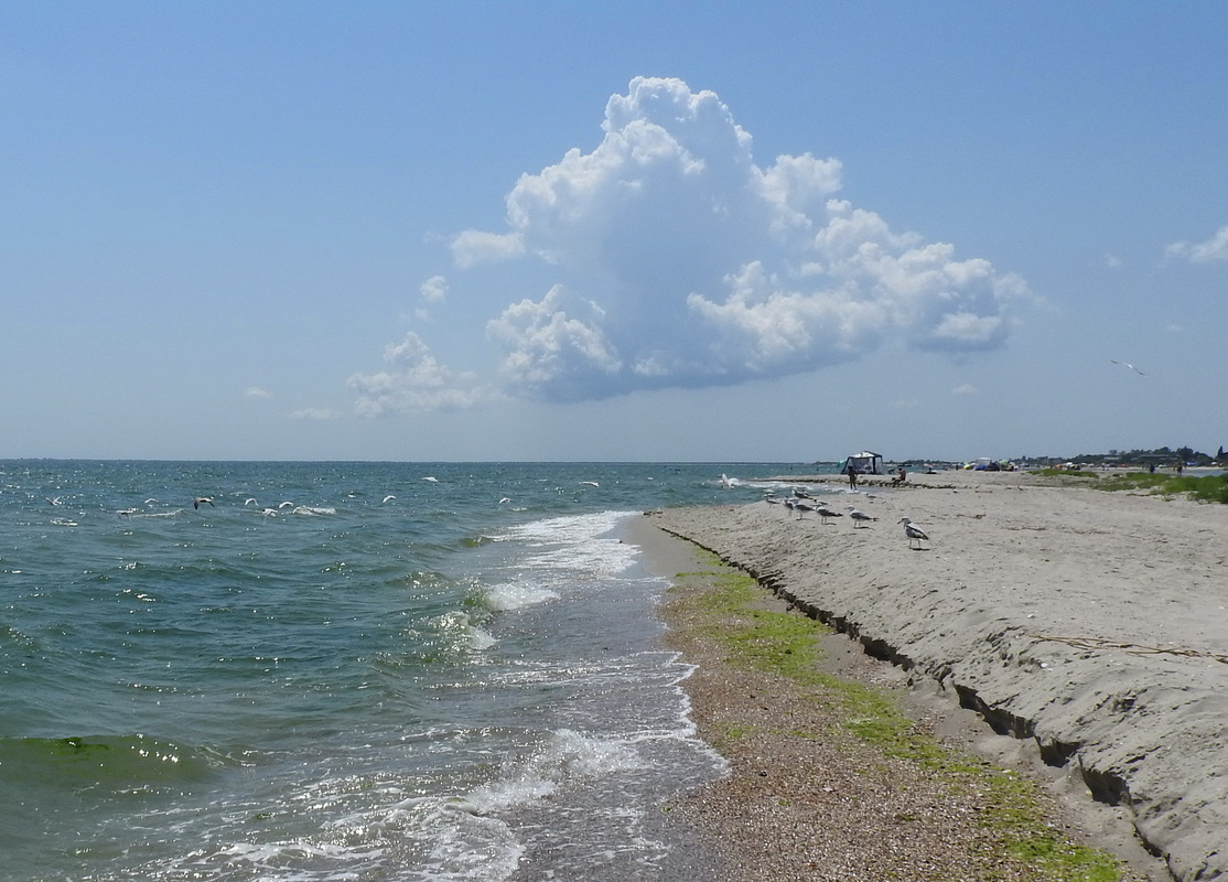 Почти Куинджи