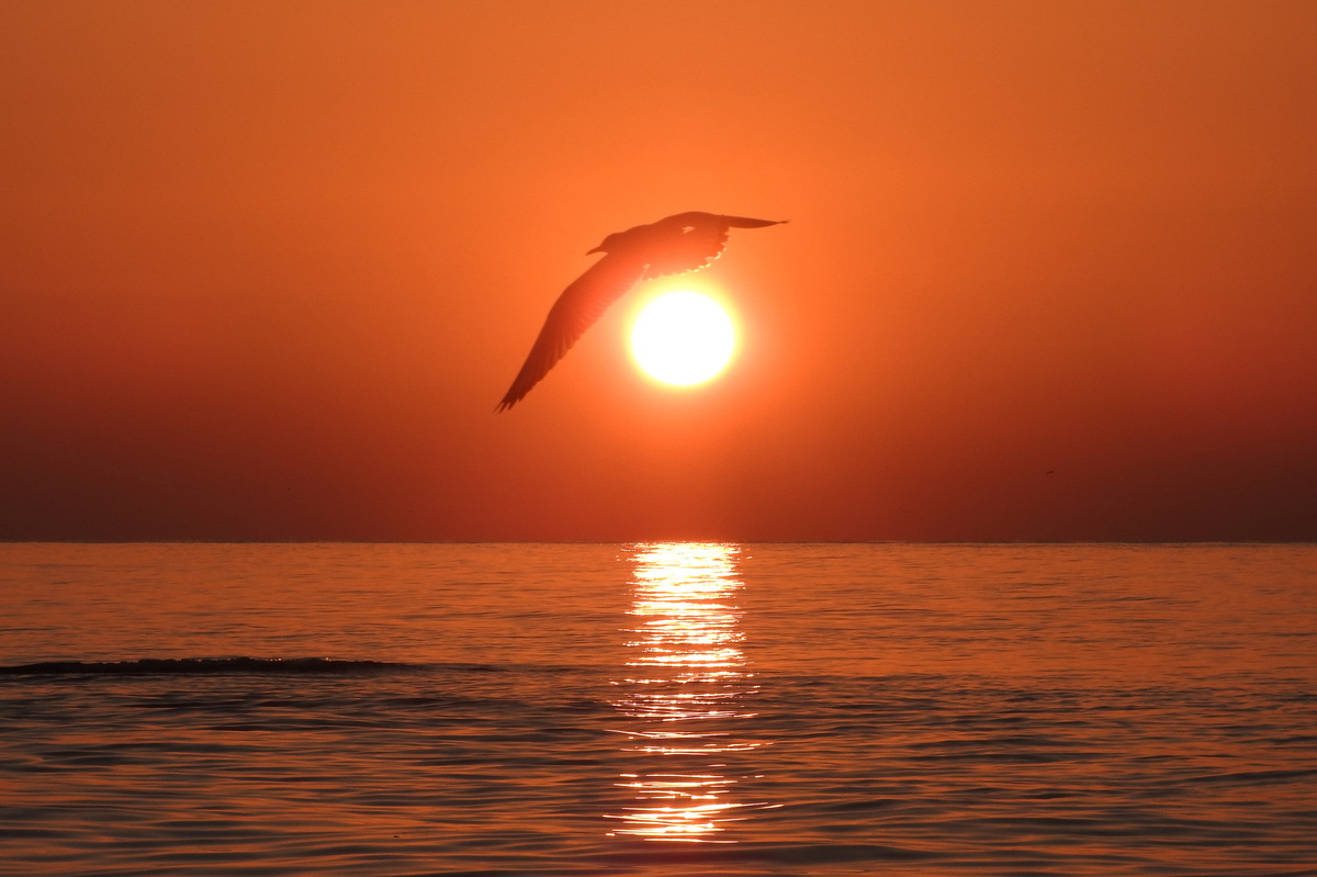 Шляпа с пером