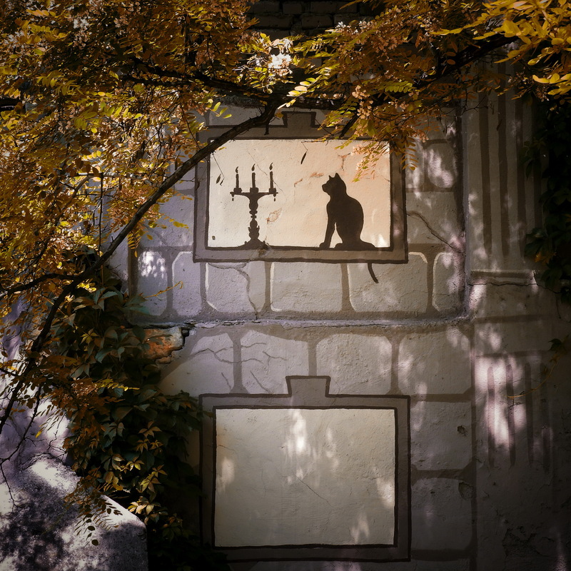 Осенний ноктюрн