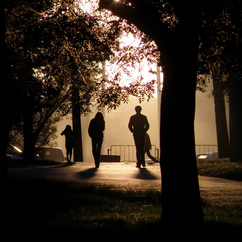 Напротив Света