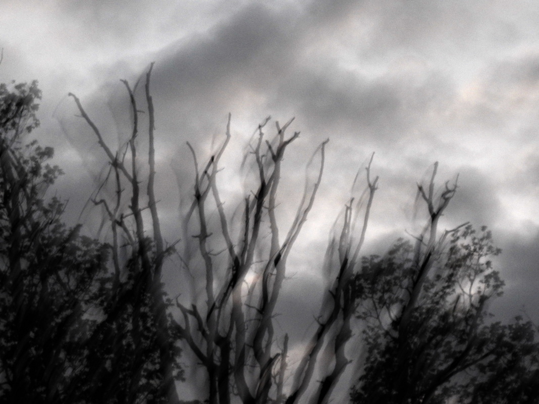 Суровая осень