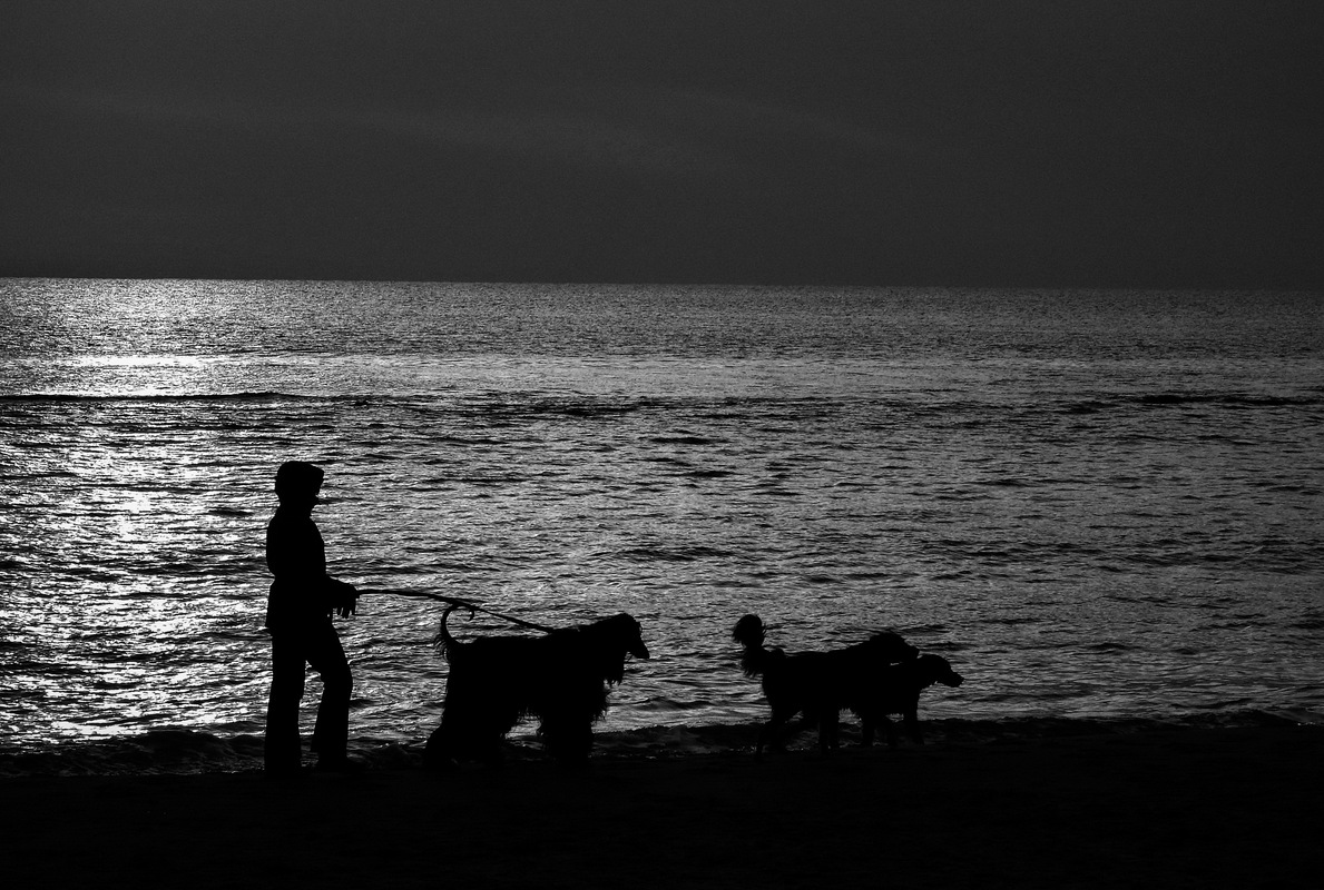 Рассветная